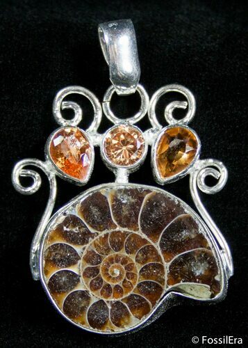 Ammonite Pendant #2605